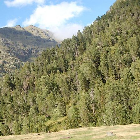Hotel Vall Ferrera Areu Dış mekan fotoğraf