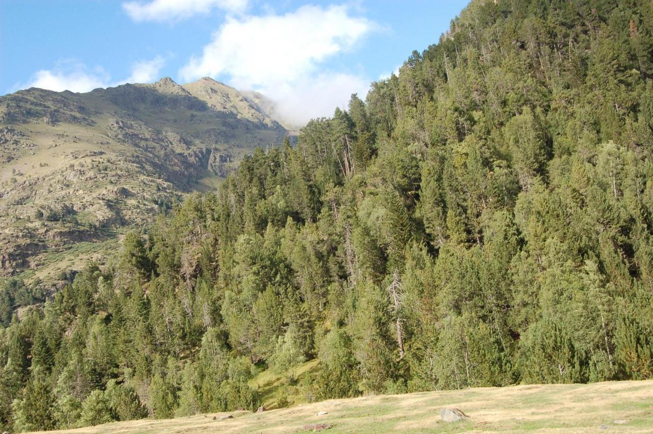 Hotel Vall Ferrera Areu Dış mekan fotoğraf